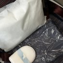 677 | 인천-푸켓 대한항공 KE677 KE678 좌석 후기 특별기내식