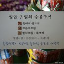 제주흑돼지마을 Daum카페