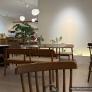 오금초교 | [송파/방이]올림픽공원 감성 카페 딜라이트 커피 내돈내산 후기
