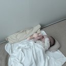 주노세탁소 | 2024 3월 #현짱일상 이라 쓰고 백수일상 이라고 읽는다. 1