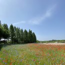 조광목장 | 당진 여행 답사기