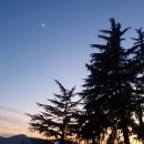 청조동물병원 | 탈출 기념 아주 많이 밀린 그림 일기 | 실업급여 후기 | 부산 취준생 일기| 지역신협 면접 | | 저축은행...