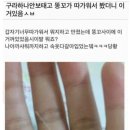 똥꼬네