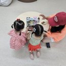 카페다람