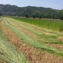 들녘한우 이미지