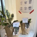 맑은샘약국 이미지