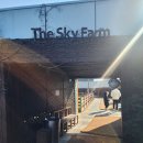 형형색색의바위들 | 20개월 아기와 다녀온 일산 아쿠아플라넷 주말방문 내돈내산 후기