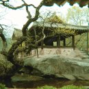 산수정원 이미지