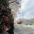 마산주유소 | 마산 우동한그릇 주말 방문 후기(+원격 웨이팅)