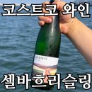 글린트 | 코스트코 와인 셀바흐 리슬링 더 글린트 19,990원, 오징어회 페어링 후기