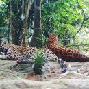 리버퀘스트 이미지