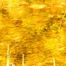 계곡수채화 이미지