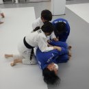 Dream of Judo 태평유도관 이미지