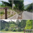 화순초수만분교장 이미지