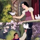 종로-연건-종로-연-194 | W6. [웨딩밴드 투어] 아키프, 뮤오르, 퓨어러브 투어 후기