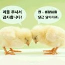 시골 빈집 구입시 꼭 확인해야할 사항 이미지