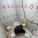 가재 우림필유 이미지