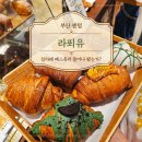 바로구운빵 - 원주시 서원대로 406 | 부산 빵지순례 필수 코스, 신세계 센텀 라푀유 갓 구운 실타래소금빵 솔직후기