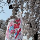 푸드모바일 | 여의도 봄꽃축제 영등포농협 이벤트 참여하고 키캡 푸드트럭 털고 온 후기