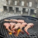 펜션쉐네베르그 이미지