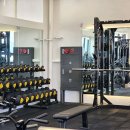 바디리핏 이미지