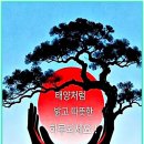 베베 - 청주시 서원구 수곡로106번길 41-3 | 베베