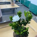 송림학당 이미지