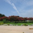 갯골생태공원 이미지