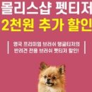 펫샵 인사이트
