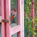 우체국길 이미지