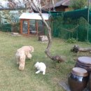 소리야네집 이미지