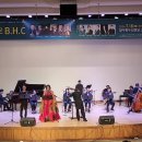 마에스트로 B.H.C 이미지