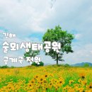 배수장 | [김해] 술뫼생태공원 금계국 군락지 위치, 주차방법
