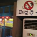 푸른여우
