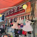 남도사 | 남도스포츠(구 남도사) DMC 엘리트맥스 숏핀 구입후기