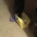 홍가네한우정육점