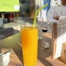 [말라가 근교 당일치기 여행] 올리브오일/올리브농장 투어(Aceites Molisur)