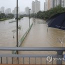 온천천일대6 이미지