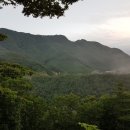 진산자연휴양림캠핑장 이미지