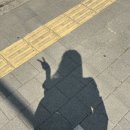 씨유김포우리별점 | [김포 / 칸톤] 매일 가고 싶은 김포브런치카페 평일낮 오픈런 내돈내산 또간집🤍