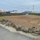 제주도한달살기 이미지