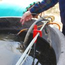 원준농장 이미지