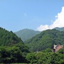 골세골 Daum카페