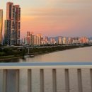 CHO 행정사사무소 이미지