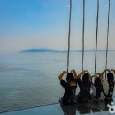 바다위에정원 이미지