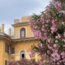 좋은아침 세탁소 이미지