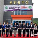 춘천승마장 이미지