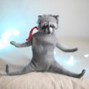 오리대가 이미지