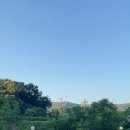 마장닭한마리