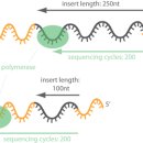 ㈜씨엘씨 | NGS: Germline Variant Discovery w/. GATK pipeline(4) - Trimming